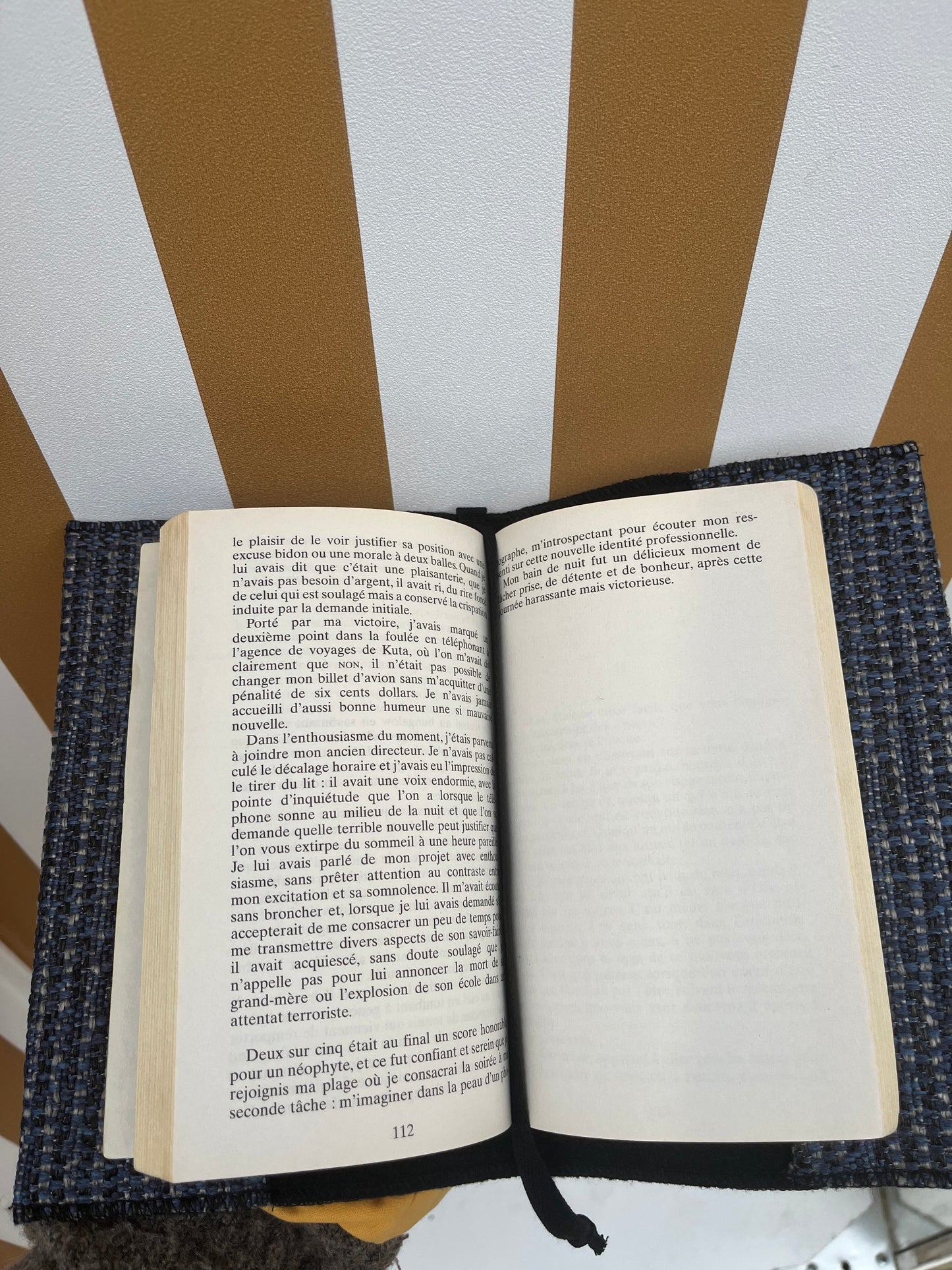 Protège livre Bleu meuble