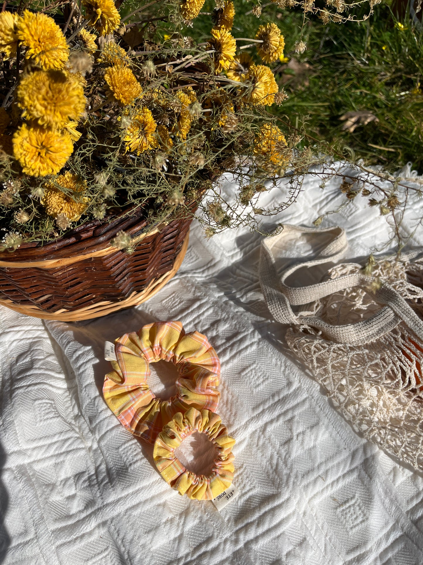 Chouchou Jannie - Petit