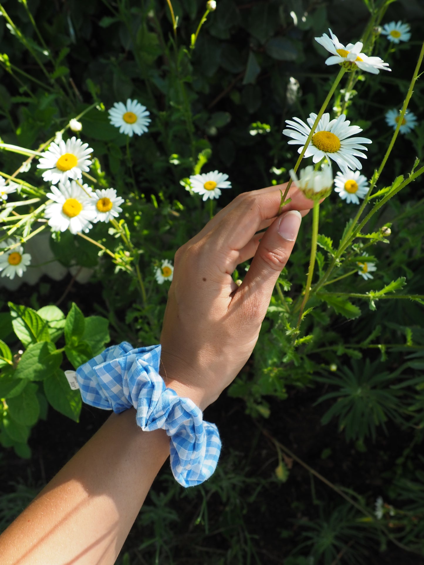 Chouchou classique - Vichy bleu clair