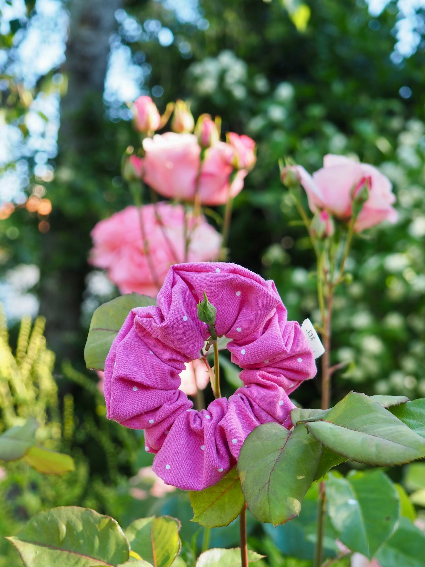 Chouchou classique - Daisy fuschia